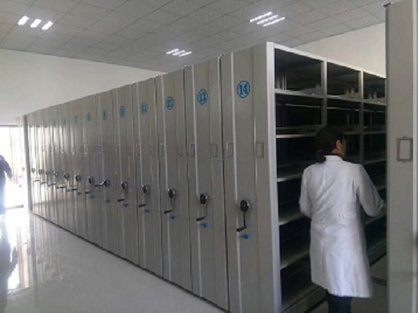 档案绿巨人视频污网站架